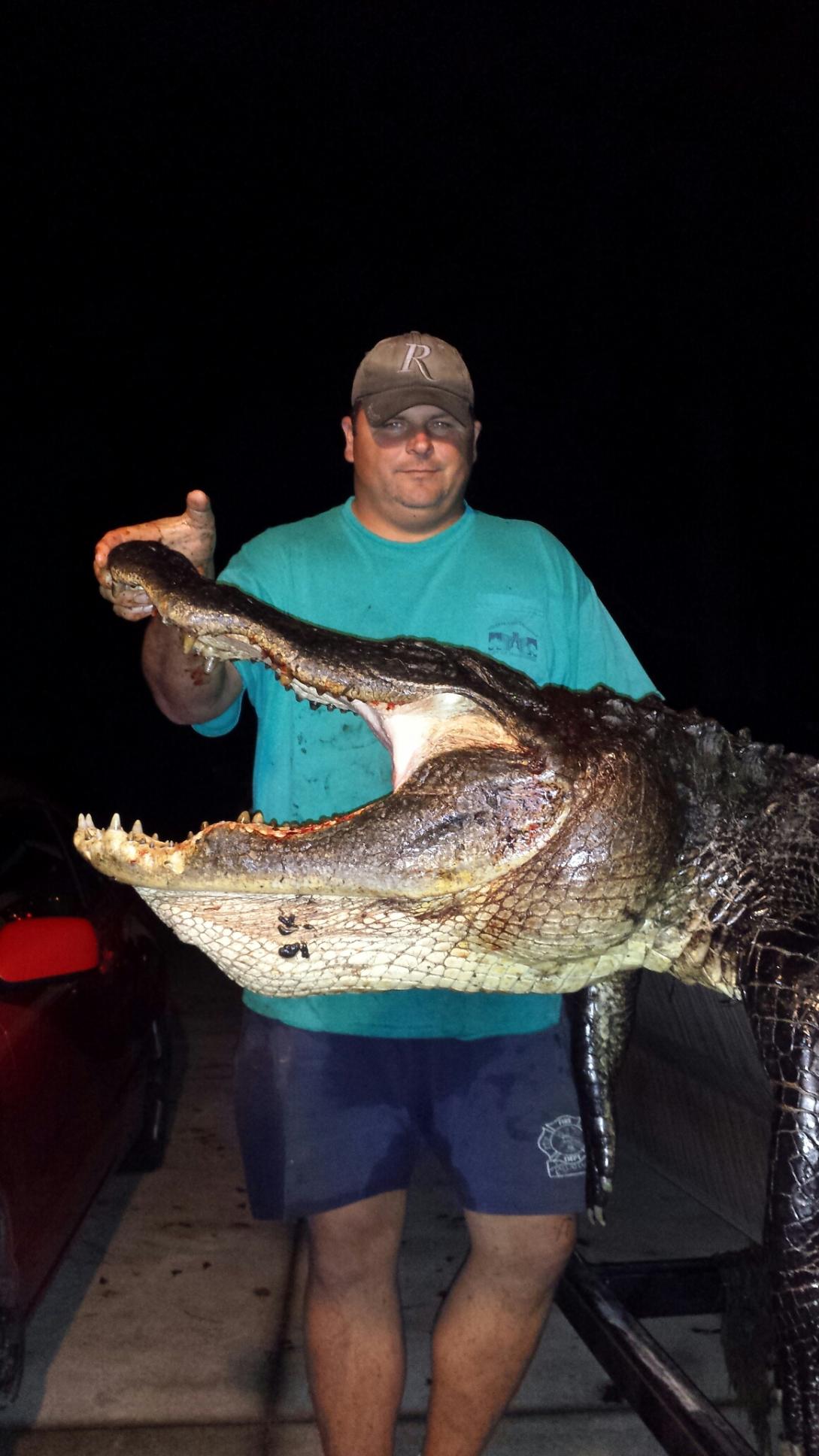 Trophy Florida alligator taken on a SoReel Outdoors guided night hunt